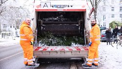 Kollegen in Orange bei der Tannenbaumabfuhr