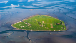 Die Insel Neuwerk