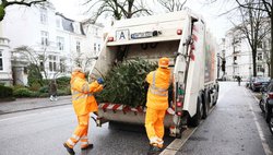 Zwei SRH-Mitarbeiter heben einen Tannenbaum in die Schüttung