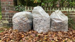 Bild der Stadtreinigung Hamburg