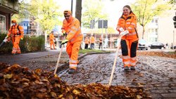 Die Laubschlacht der SRH