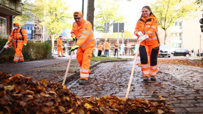 Die Laubschlacht der SRH Die Laubschlacht der SRH