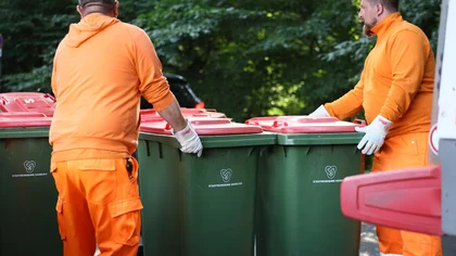 Mehrere grüne Bio-Mülltonnen stehen nebeneinander. Zwei Mitarbeiter vom #TeamOrange stehen am Müllfahrzeug und sind dabei, die Behälter zu leeren