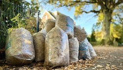 Laubsäcke bereit zur Abholung